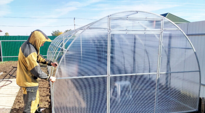 Преимущества теплиц из поликарбоната