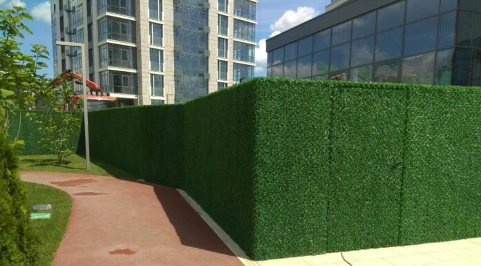 Преимущества зеленых декоративных заборов