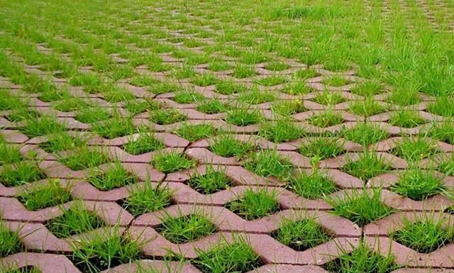 Экопарковка для дачи