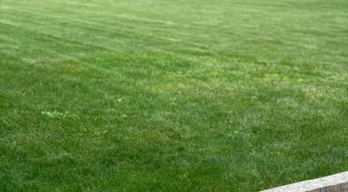 Где купить качественные бордюрный камни?