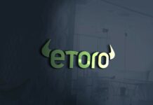 Форекс eTopo: как начать работать на Форекс