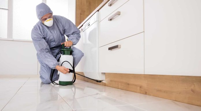 Дезинфекция квартир: к каких случаях производится дезинфекция квартиры