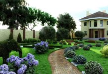 Чем привлекательно озеленение своей территории