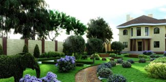 Чем привлекательно озеленение своей территории