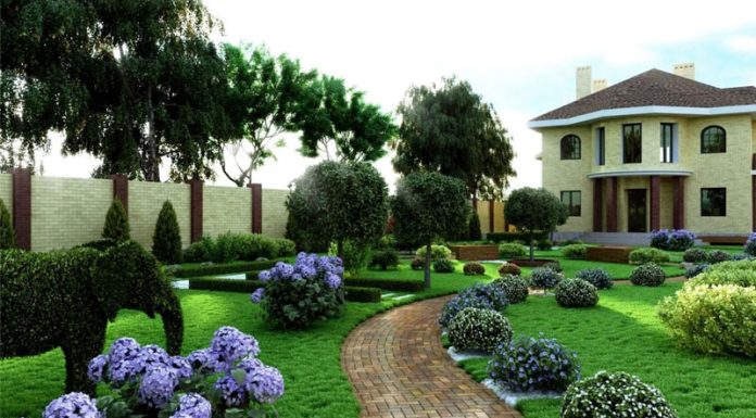 Чем привлекательно озеленение своей территории