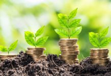 Работа: процедура разработки эффективного бизнес-плана для привлечения инвестиций