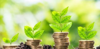 Работа: процедура разработки эффективного бизнес-плана для привлечения инвестиций