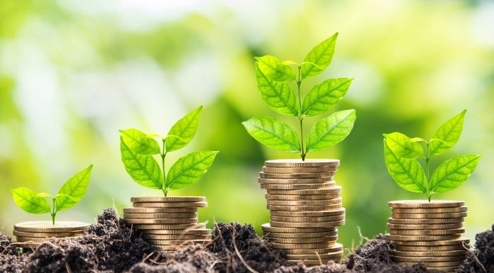 Работа: процедура разработки эффективного бизнес-плана для привлечения инвестиций