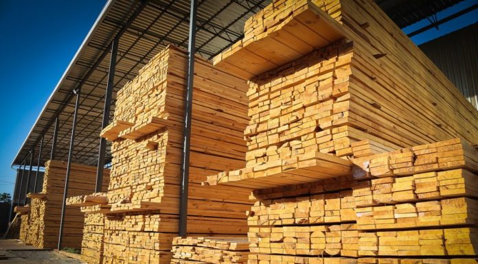 Пиломатериалы: все, что вы хотели знать