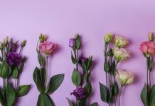 Магия цветов: удивительное свойство эустомы