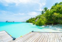 Мальдивы: чем развлечь себя на островах freepik