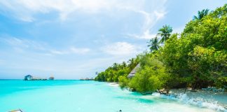 Мальдивы: чем развлечь себя на островах freepik