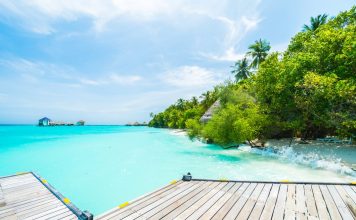 Мальдивы: чем развлечь себя на островах freepik