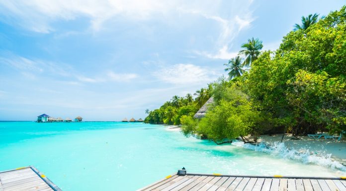 Мальдивы: чем развлечь себя на островах freepik