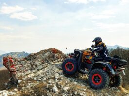 Квадроциклы: Все, что вам нужно знать