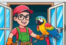 Пластиковые окна: от простого стекла к комфортному пространству