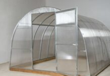 Теплицы из поликарбоната: плюсы, особенности и выбор