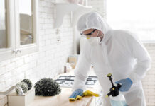 Уничтожение чешуйниц: пошаговое руководство