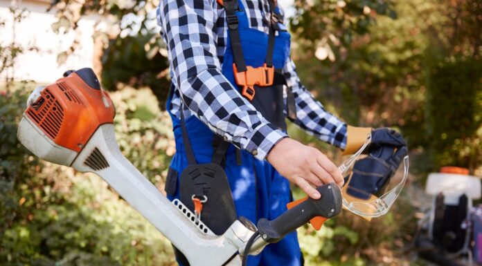 Садовые триммеры: важные аспекты выбора и использования