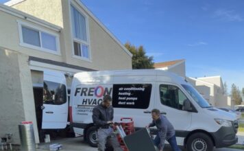 Тщательный анализ скрытых проблем с плесенью